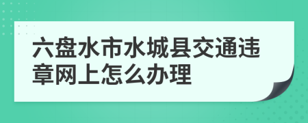 六盘水市水城县交通违章网上怎么办理