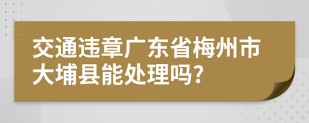 交通违章广东省梅州市大埔县能处理吗?