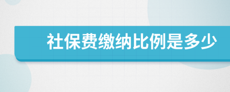 社保费缴纳比例是多少