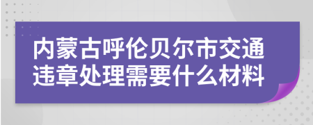 内蒙古呼伦贝尔市交通违章处理需要什么材料