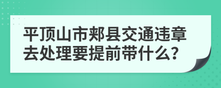 平顶山市郏县交通违章去处理要提前带什么？