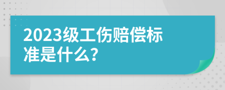 2023级工伤赔偿标准是什么？