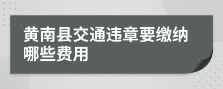 黄南县交通违章要缴纳哪些费用