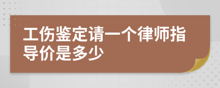 工伤鉴定请一个律师指导价是多少