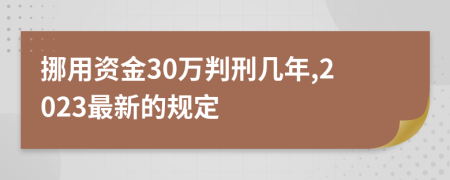 挪用资金30万判刑几年,2023最新的规定