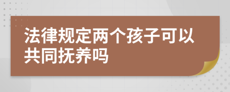 法律规定两个孩子可以共同抚养吗