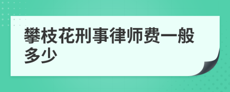 攀枝花刑事律师费一般多少