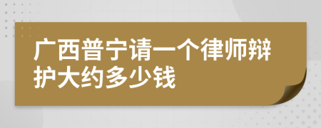 广西普宁请一个律师辩护大约多少钱