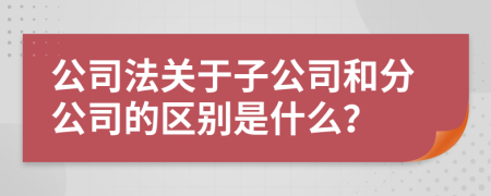 公司法关于子公司和分公司的区别是什么？