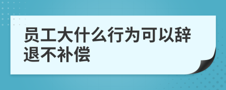 员工大什么行为可以辞退不补偿