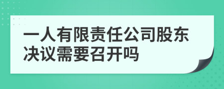 一人有限责任公司股东决议需要召开吗