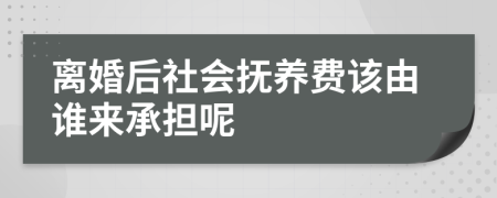 离婚后社会抚养费该由谁来承担呢