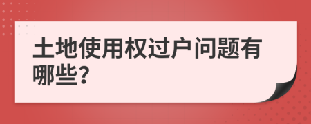 土地使用权过户问题有哪些？