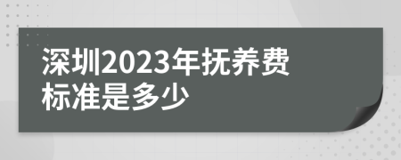 深圳2023年抚养费标准是多少