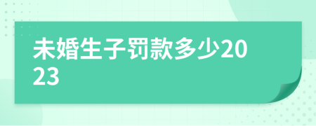 未婚生子罚款多少2023