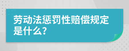 劳动法惩罚性赔偿规定是什么？