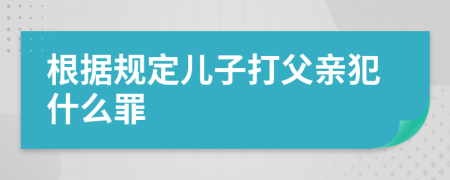 根据规定儿子打父亲犯什么罪