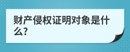 财产侵权证明对象是什么?