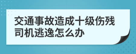 交通事故造成十级伤残司机逃逸怎么办