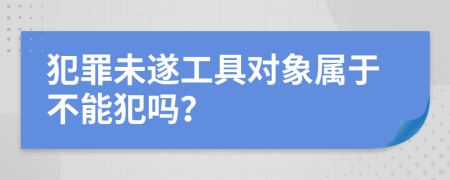 犯罪未遂工具对象属于不能犯吗？