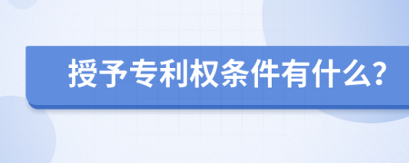 授予专利权条件有什么？