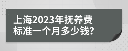 上海2023年抚养费标准一个月多少钱？