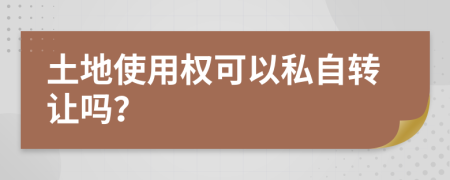 土地使用权可以私自转让吗？