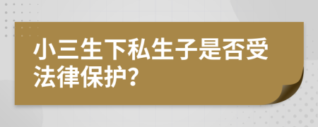 小三生下私生子是否受法律保护？