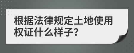 根据法律规定土地使用权证什么样子？