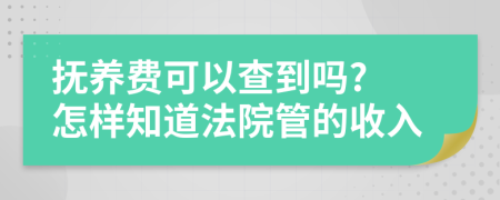 抚养费可以查到吗? 怎样知道法院管的收入