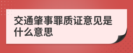 交通肇事罪质证意见是什么意思