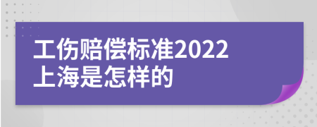 工伤赔偿标准2022上海是怎样的