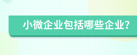 小微企业包括哪些企业？