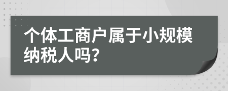 个体工商户属于小规模纳税人吗？