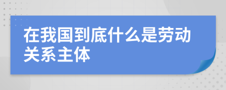 在我国到底什么是劳动关系主体