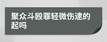 聚众斗殴罪轻微伤逮的起吗