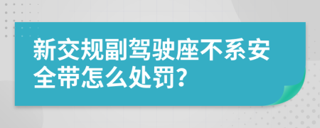 新交规副驾驶座不系安全带怎么处罚？