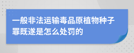 一般非法运输毒品原植物种子罪既遂是怎么处罚的