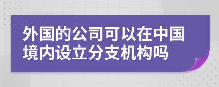 外国的公司可以在中国境内设立分支机构吗