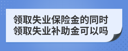 领取失业保险金的同时领取失业补助金可以吗