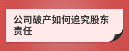 公司破产如何追究股东责任