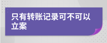 只有转账记录可不可以立案