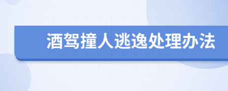 酒驾撞人逃逸处理办法