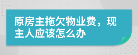 原房主拖欠物业费，现主人应该怎么办