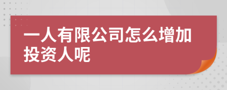 一人有限公司怎么增加投资人呢