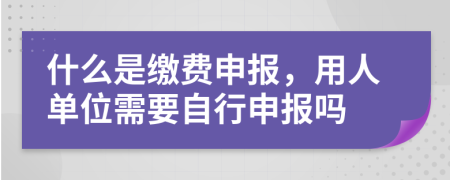 什么是缴费申报，用人单位需要自行申报吗