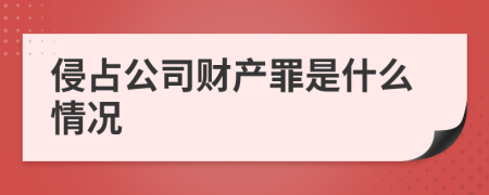 侵占公司财产罪是什么情况