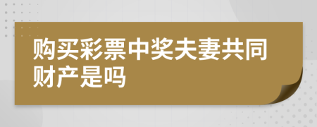 购买彩票中奖夫妻共同财产是吗