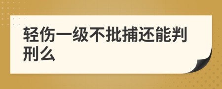 轻伤一级不批捕还能判刑么