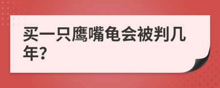 买一只鹰嘴龟会被判几年？